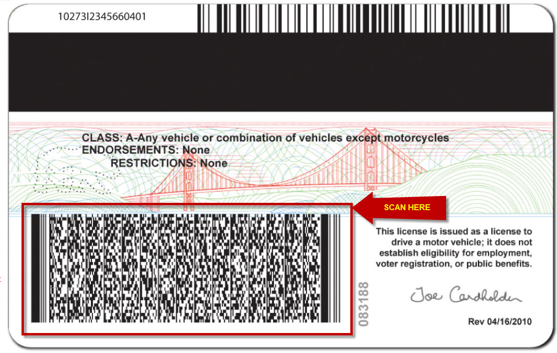 Driver License Sample