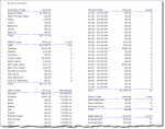 grocery POS sales report